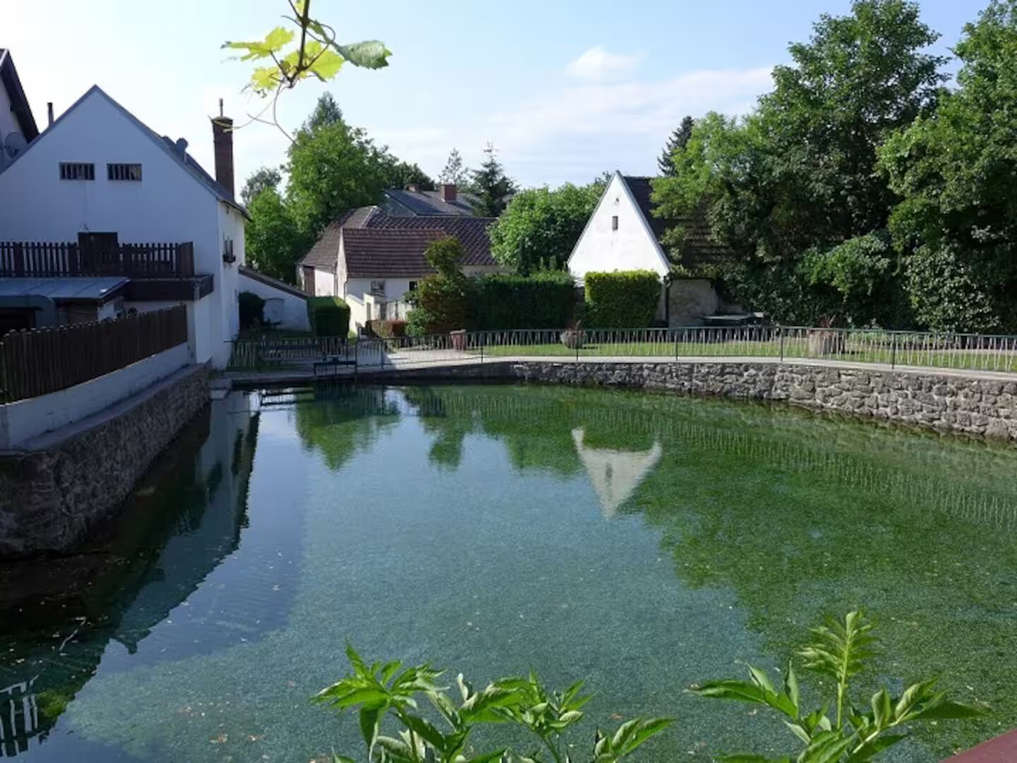 Der Dorfteich